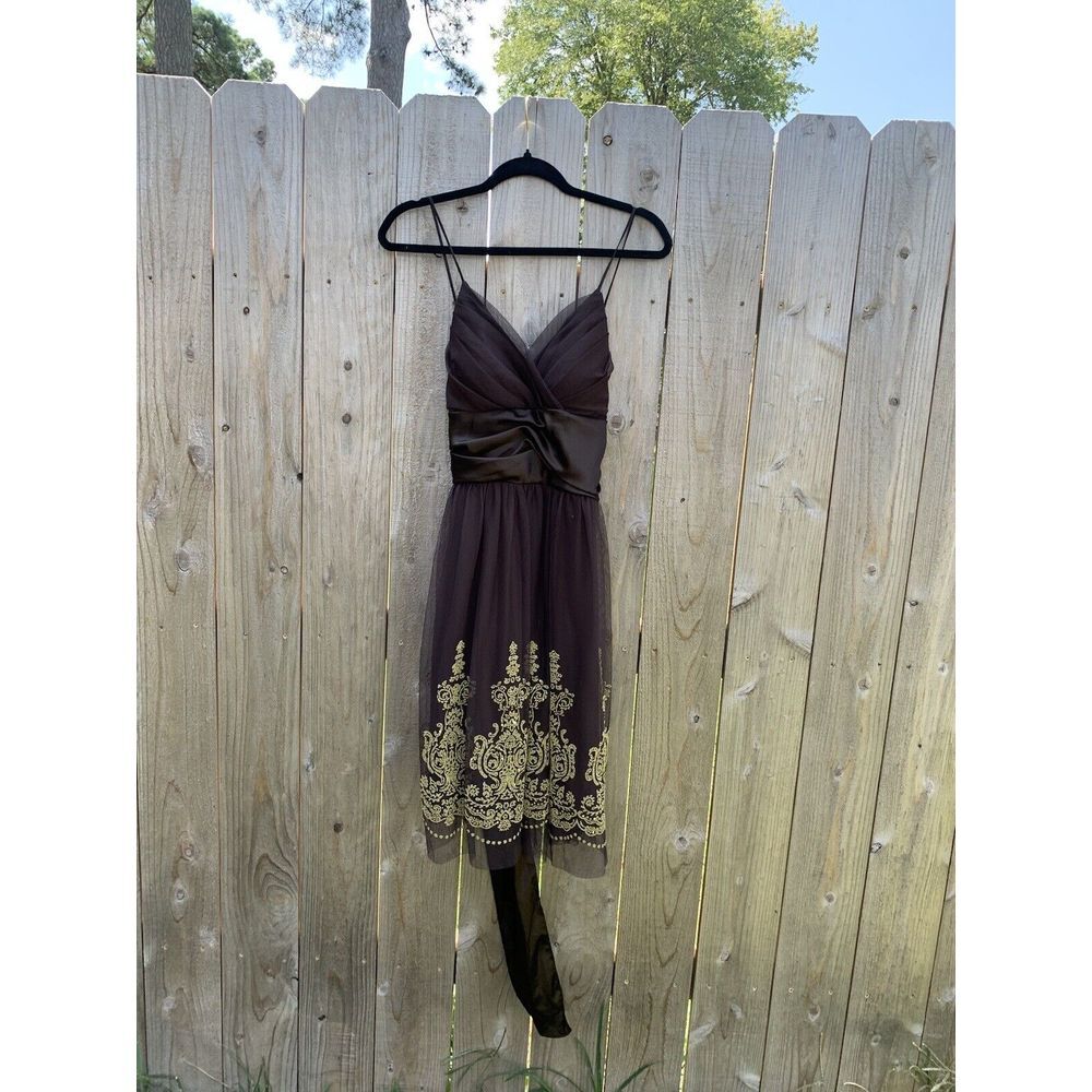 A.P.N.Y. Women's Brown Empire Waist Brown Gold Size 12 Fall‎ Mesh Satin Fairy